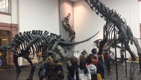 2019-03-16_senckenberg-1024×768