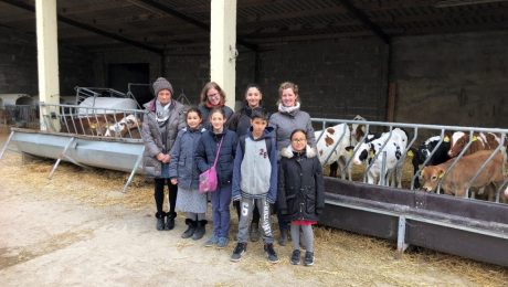 2019-04-13_milchinsglas-1024×768